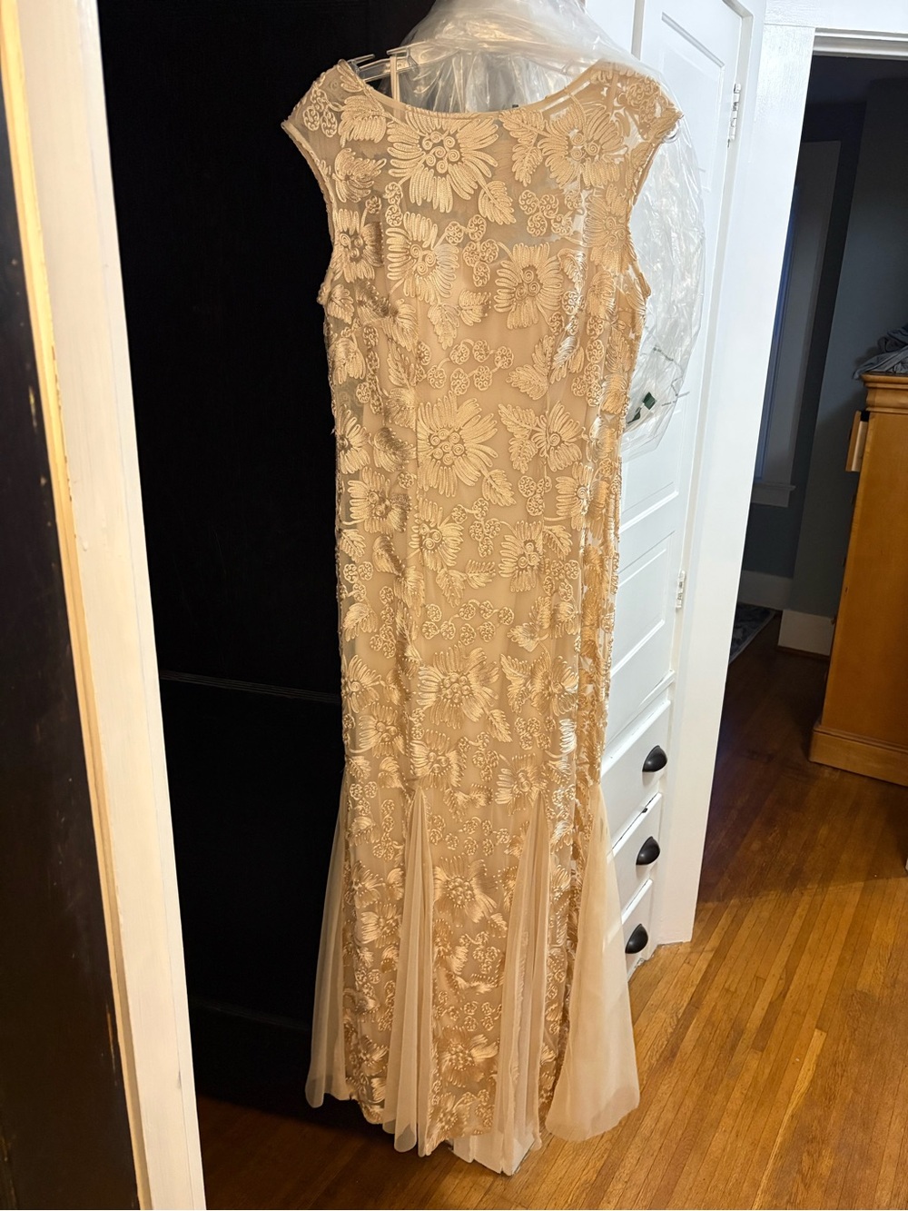 Alex Evenings Champagne Floral Lace Appliqué Maxi Dress